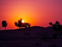 Какую максимальную температуру способен выдержать организм человека?