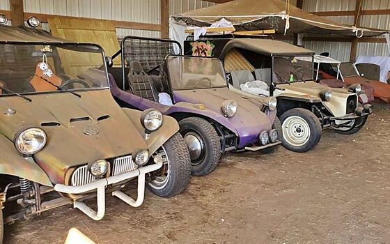 В сарае обнаружили небольшую коллекцию классических пляжных багги