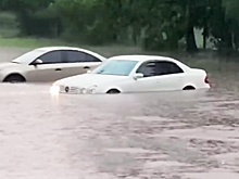 Поваленные остановки и поврежденные дома: на юг России обрушился ураган