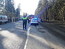 Шесть автомобилей столкнулись на трассе в Псковской области