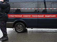 СК начал проверку информации о мошенничестве с квартирой женщины и ее двух дочерей в центре Москвы