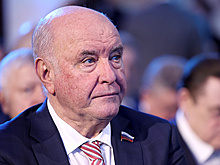 Карасин: Европа политически оказалась "в луже"