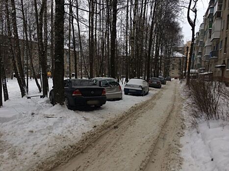 Районный суд Костромы уехал искать траву