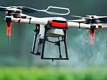 Агродроны научились выслеживать колорадского жука и сорняки на картофельных полях