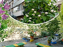 В Волгограде неравнодушные жители благоустраивают город