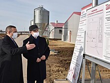 Лучшая инвестновость дня: В Марий Эл открыли племенной завод