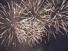 В Самаре отменили салют после концерта в честь Дня города