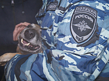 Сотрудники полиции в Камчатском крае в рамках акции «Студенческий десант» продолжают знакомить студентов-юристов со спецификой службы в ОВД