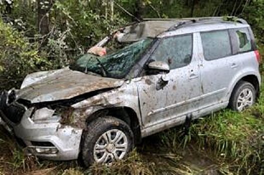 В Губахе внедорожник вылетел в кювет после столкновения с лосем