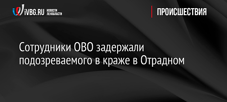 Сотрудники ОВО задержали подозреваемого в краже в Отрадном