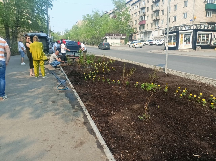 Читинские студенты высадили цветы и кустарники в центре города в рамках общественного проекта