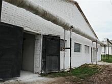 Александр Хинштейн увидел сговор в решении о выплате свиноводам 186,5 млн руб. из облбюджета