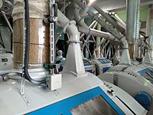 Мощности новосибирского мелькомбината используют на 60%, загрузку хотят увеличить