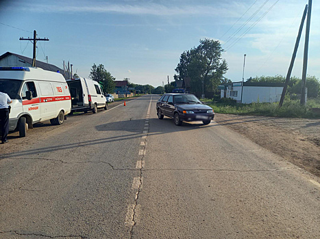 Семилетняя девочка погибла под колёсами автомобиля в Алнашском районе