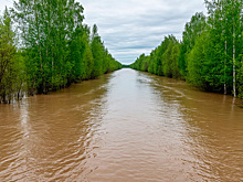 В Тюменской области зафиксировали спад воды в реках
