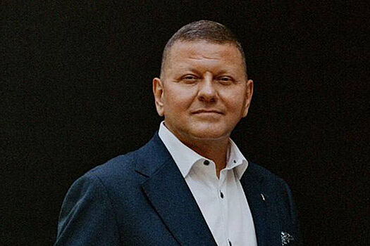 Залужный ответил на слухи о своей подготовке к выборам президента Украины