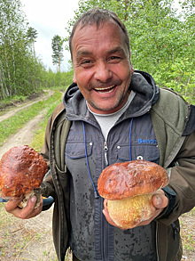 Тюменцы показали место, где растут грибы-гиганты