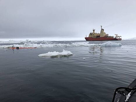 Ученые испугались резкого потепления в Антарктиде
