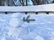 На Дону выпал первый снег