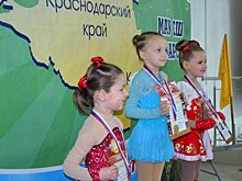 Фигуристки района 12 раз поднимались на пьедестал межрайонных соревнований