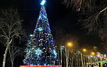 Рязанской области предложили установить ёлку в Каховском районе и торжественно её открыть