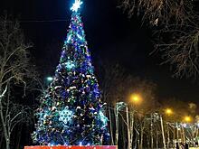 Рязанской области предложили установить ёлку в Каховском районе и торжественно её открыть