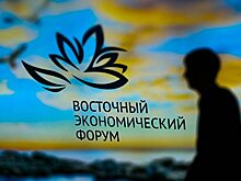 Эксперт назвал важные отличительные особенности прошедшего ВЭФ