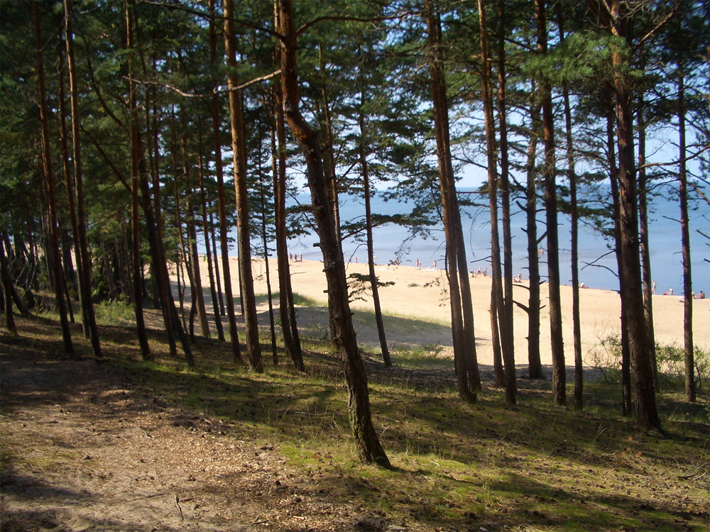 Саулкрасты, Латвия, Европа