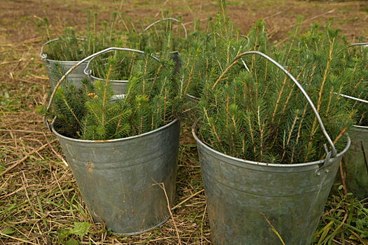 В Алтайском крае сообщили о нехватке около 400 школьных педагогов