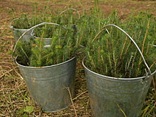 В Алтайском крае сообщили о нехватке около 400 школьных педагогов