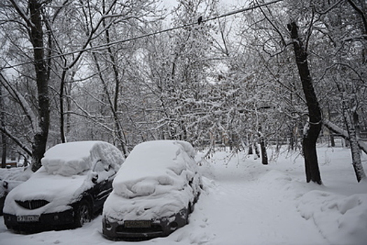 До 9 см снега выпало за прошедшую ночь в Москве