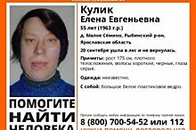 В Рыбинском районе пропала 55-летняя Елена Кулик