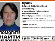 В Рыбинском районе пропала 55-летняя Елена Кулик