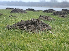 В Калининграде нашли руины немецкой фабрики