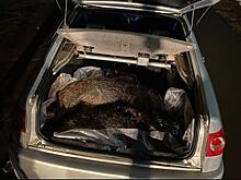 Из-за браконьерства в нацпарке "Самарская Лука" возбудили уголовное дело