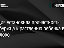 Полиция установила причастность петербуржца к растлению ребенка в Парголово