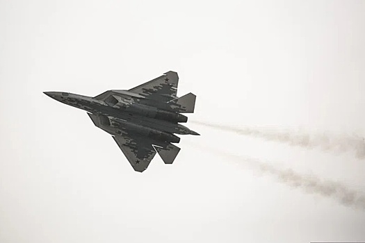 Bloomberg: Индия планирует новые закупки российского оружия