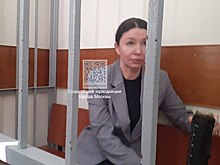 Блиновская признала вину в уклонении от уплаты налогов