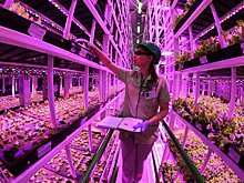 Как изменится рынок цифровых технологий в АПК