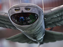 Максимальная маскировка: разработчик раскрыл характеристики БПЛА «Сова»