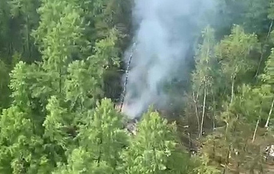 В катастрофе Ан-24 под Тындой погибли пятеро работников РЖД