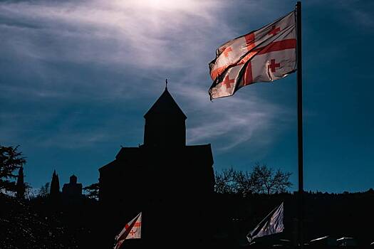 В США дали совет Грузии