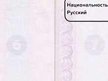 Милонов предложил вернуть в паспорт графу "национальность"
