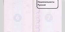 Милонов предложил вернуть в паспорт графу "национальность"