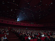 Сорвавшие в Москве показ фильма о Донбассе активисты SERB подали жалобу на организаторов «Артдокфеста»