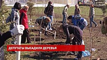 Донские парламентарии приняли участие в озеленении Ростова