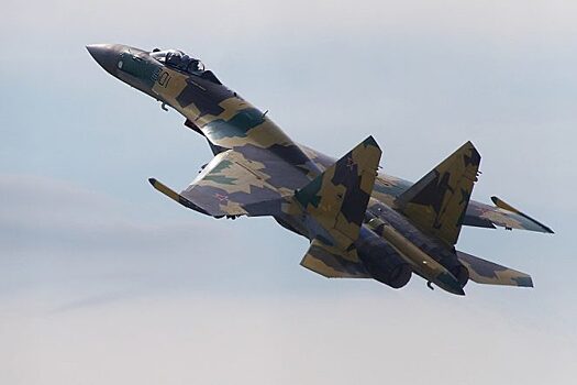 Какие российские самолеты больше всего заставляют нервничать НАТО