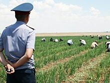 «За работу платят, как на воле». Как на самом деле живут заключенные