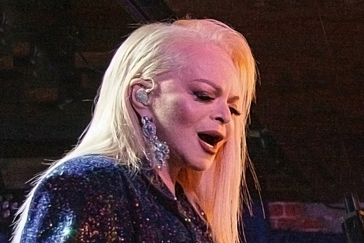 Юрист Соловьев: Долина стала жертвой классической схемы мошенников