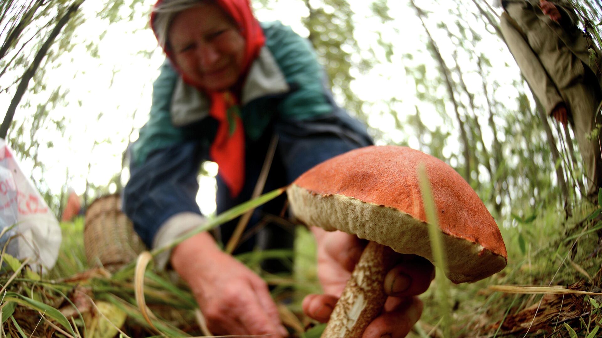 �������&nbsp; ������������ � ��������� �� ���� ������ ������ � ��������